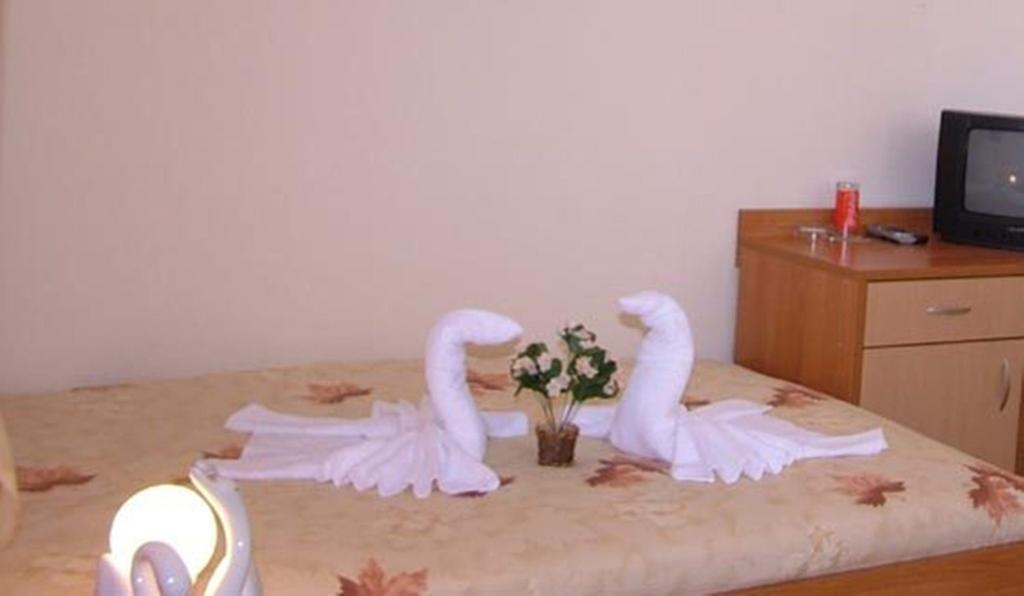 Family Hotel St. Constantine And Helena Ιβαΐλοβγκραντ Εξωτερικό φωτογραφία